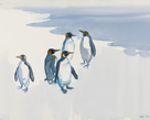 Holly Meeker Rom Penguins